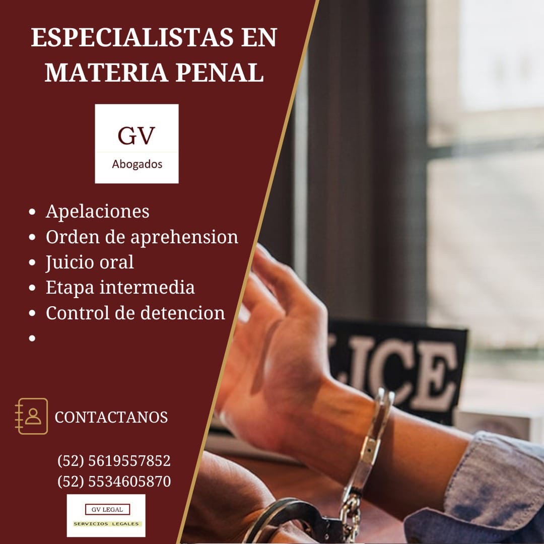 Especialistas en materia penal